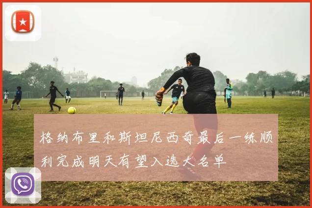 格纳布里和斯坦尼西奇最后一练顺利完成明天有望入选大名单