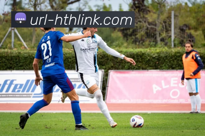 华体会APP 封面图